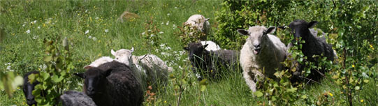bild02