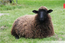 bild_7
